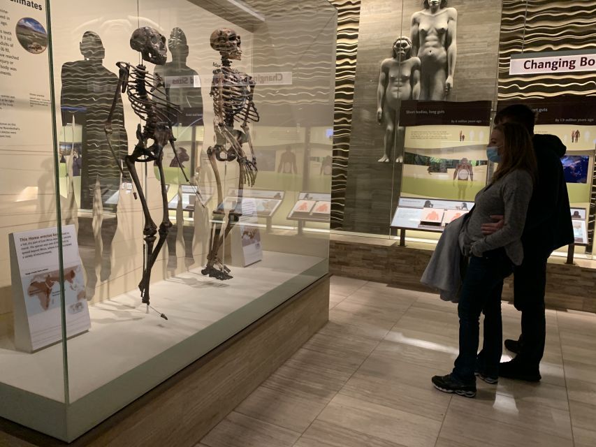 Smithsonian National Museum of Natural History Guided Tour - A smart way to approach a huge museum
