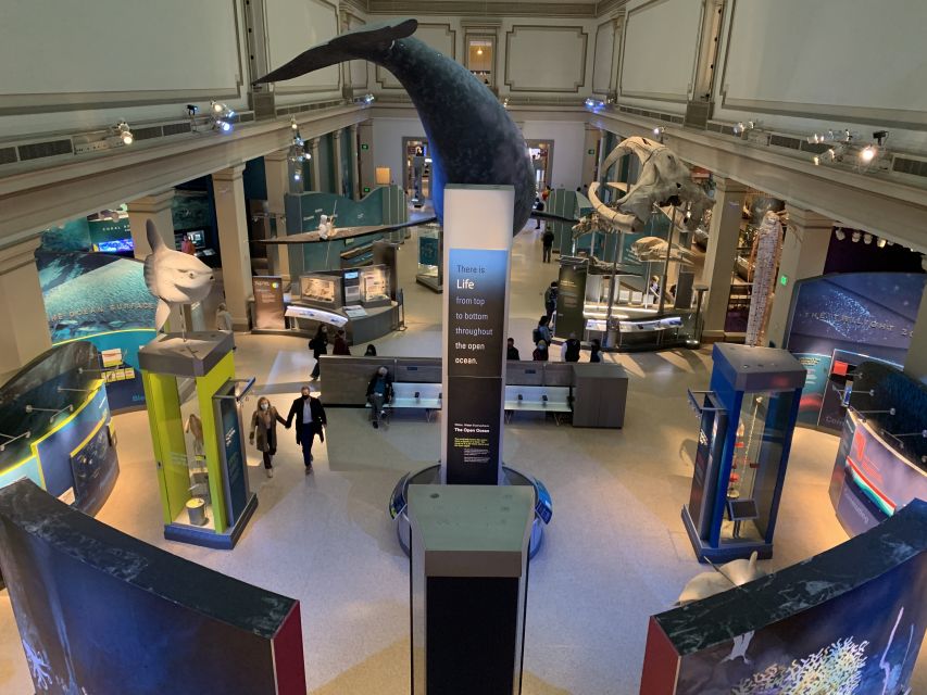 Smithsonian National Museum of Natural History Guided Tour - Dinosaur bones and the big first impressions