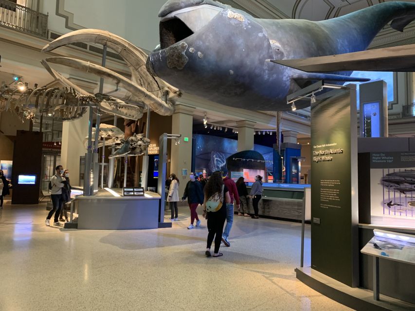Smithsonian National Museum of Natural History Guided Tour - Gemstones, mummies, and unusual details
