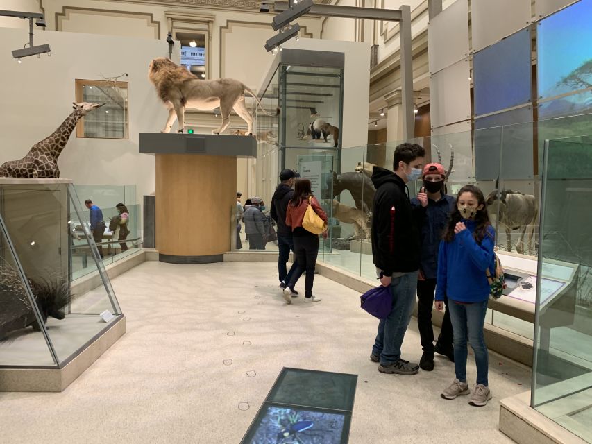 Smithsonian National Museum of Natural History Guided Tour - Two hours: enough for highlights, not the whole museum