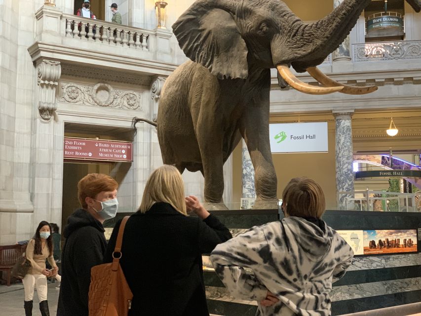 Smithsonian National Museum of Natural History Guided Tour - Is $75 a fair price?