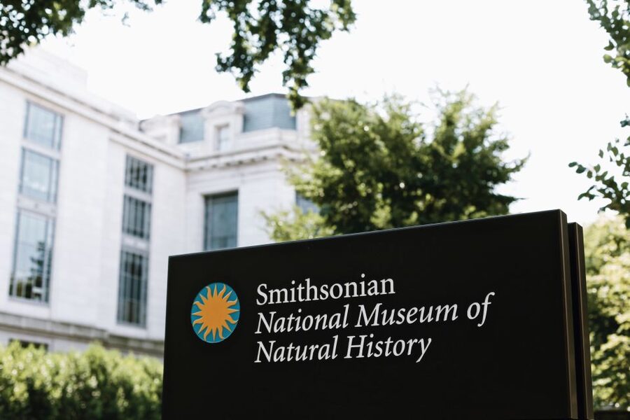 Smithsonian Natural History Museum Tour Semi-Private 8ppl - Key points to know before you book