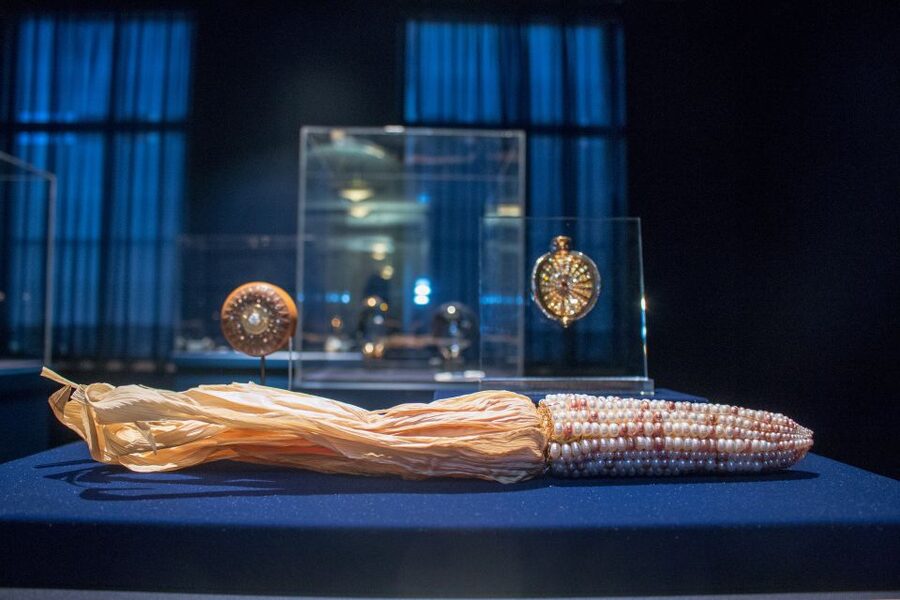 Smithsonian Natural History Museum Tour Semi-Private 8ppl - Fossils, the Arctic Narwhal, and giant land animals