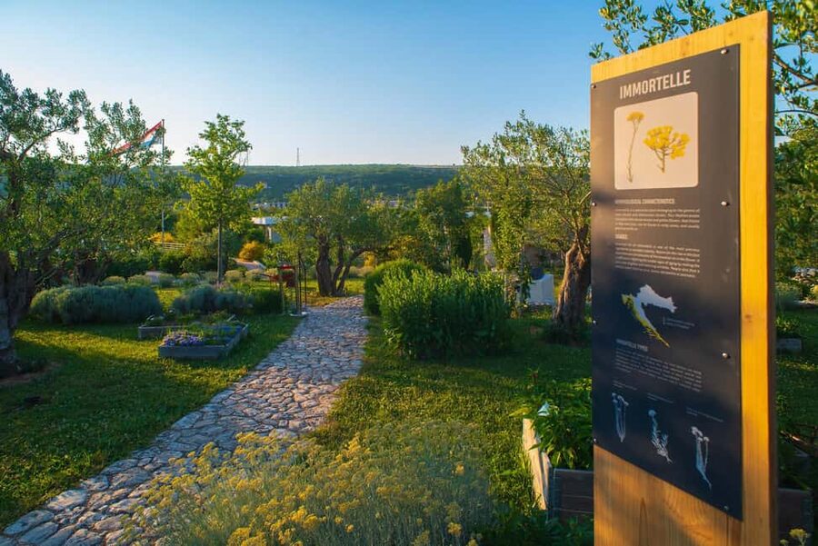 Split: Olive museum Klis with Olive Oil Tasting - A Family Estate Above the Klis Area