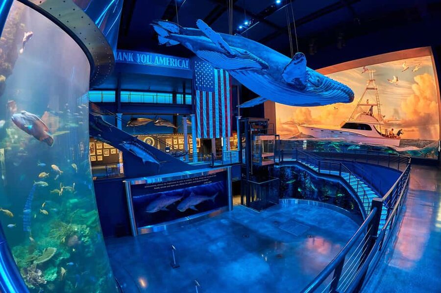 Springfield: Wonders of Wildlife National Museum & Aquarium - North America’s Heads and Horns Collection