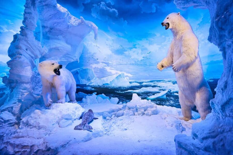 Springfield: Wonders of Wildlife National Museum & Aquarium - Touch Pools and Presentations for All Ages