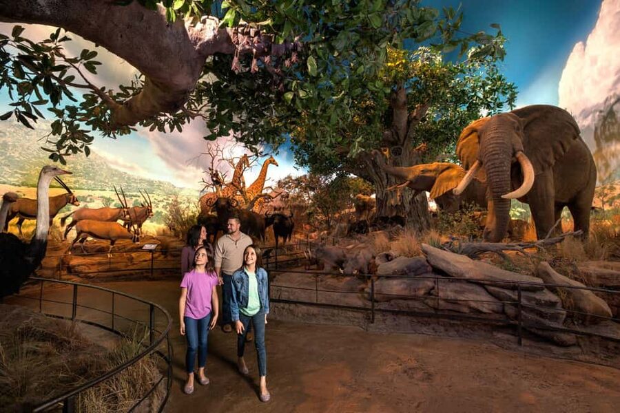 Springfield: Wonders of Wildlife National Museum & Aquarium - Starting in the Wildlife Galleries