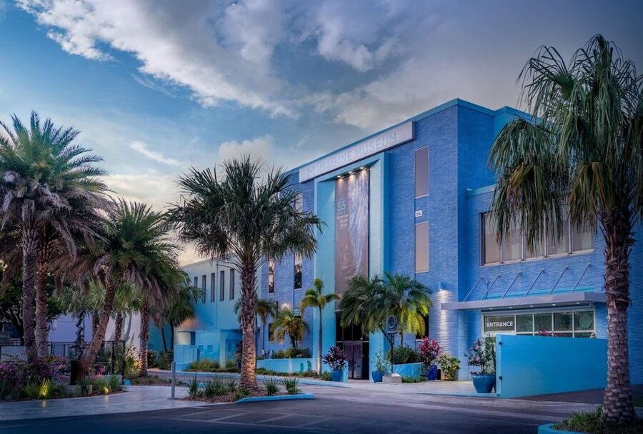 St. Petersburg, FL: Imagine Museum Admission Ticket - Why Glass Makes a Good Museum Subject