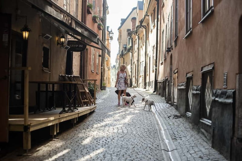 Stockholm: Old Town & Vasa Museum Skip-the-Line Private Tour - Key points to know before booking