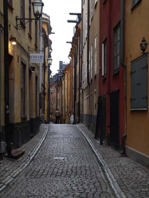 Stockholm: Private Guided Car Tour and Vasa Museum Entry - Is $613 per person fair value?