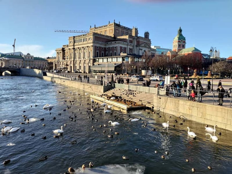 Stockholm: Private Guided Car Tour and Vasa Museum Entry - The Royal Palace and Old Town from the road