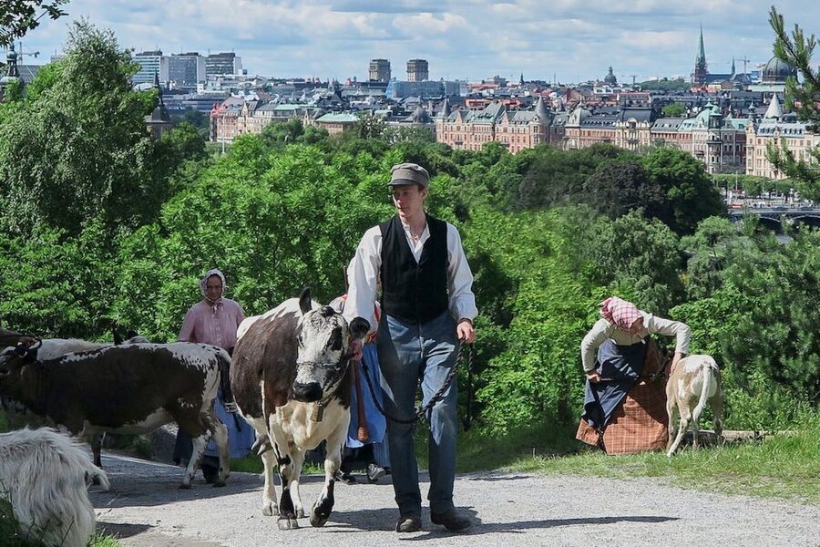 Stockholm: Skansen Open-Air Museum Admission Ticket - Begin with the historic homes and farmsteads