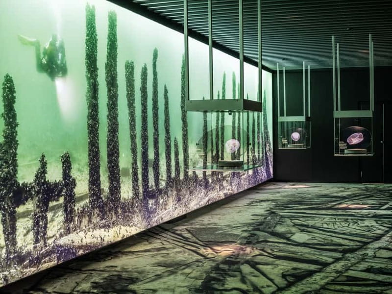 Stockholm: Vasa Museum and Vrak Museum of Wrecks Combo Entry - Audio guides, tours, and getting oriented