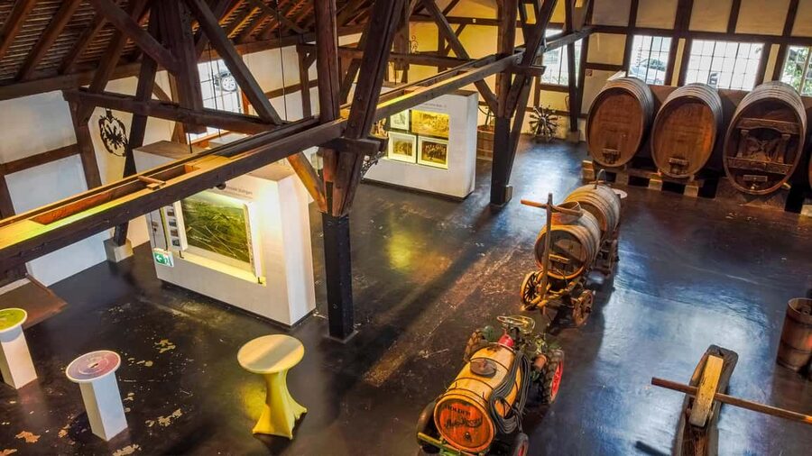Stuttgart: Stuttgart Wine Museum Wine Tasting - The German-only format matters