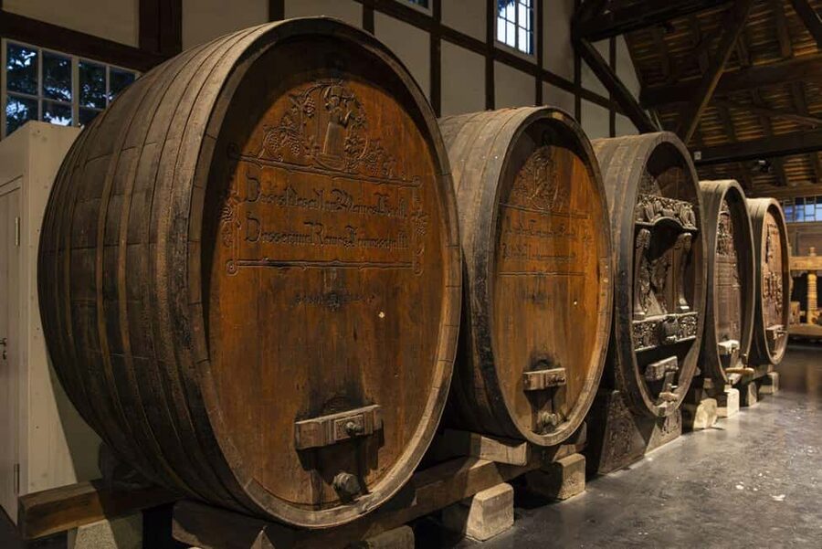 Stuttgart: Stuttgart Wine Museum Wine Tasting - Who will enjoy this tasting most?