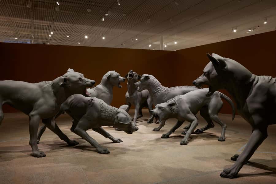 Sydney Summer Art Exhibitions Art Gallery of New South Wales - What the price includes, and what it does not
