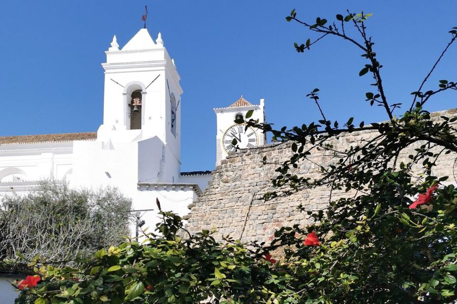 Tavira Total Tuk Tuk Tour: Tavira Tour & Tuna Museum Visit - Who will get the most from this tour?