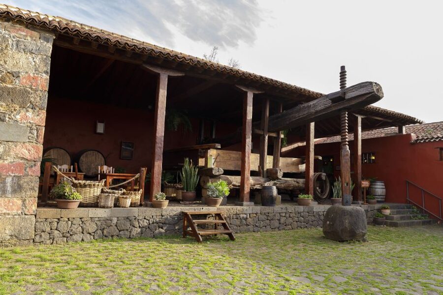 Tenerife: Wine Museum Ticket with Local Wines & Food Tasting - The Garden and Traditional Grape Varieties