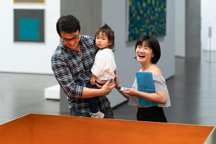 The Museum of Fine Arts, Houston Entry Ticket - Access, photography, and what to leave behind