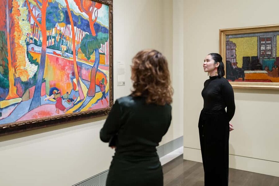 The Museum of Fine Arts, Houston Entry Ticket - Price and what the $10 ticket delivers