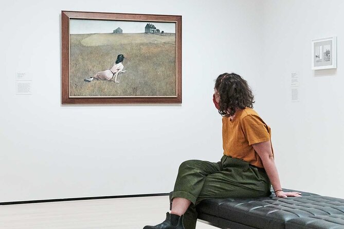 The Museum of Modern Art Admission Ticket - Is the $30 ticket good value?