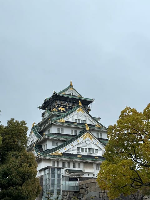 (Ticket Included) Explore Osaka Castle & Museum of History - Walking Toward the Castle Grounds