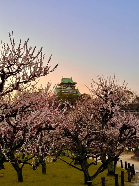 (Ticket Included) Explore Osaka Castle & Museum of History - Who Should Book This Experience?