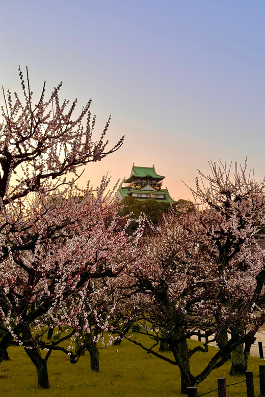 (Ticket Included) Explore Osaka Castle & Museum of History - The Museum of History and Its 10th-Floor Palace