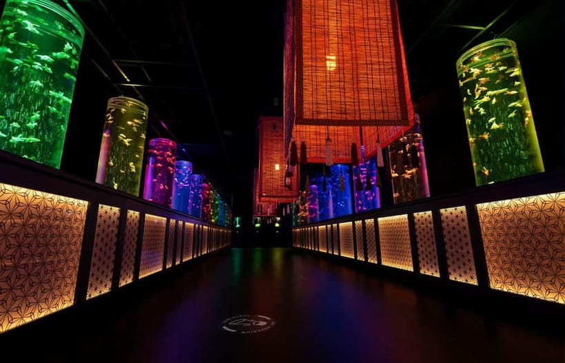 Tokyo: Art Aquarium Museum GINZA Entry Ticket - Taking photographs without slowing the room