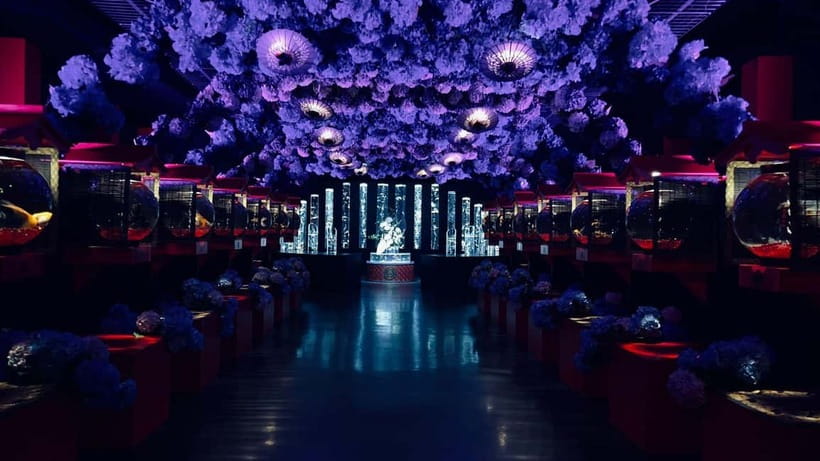 Tokyo: Art Aquarium Museum GINZA Entry Ticket - Seasonal displays and repeat visits