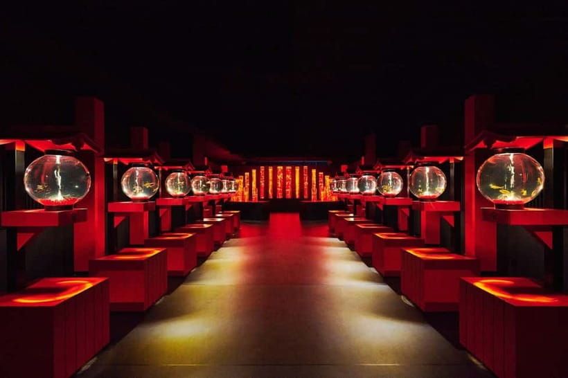 Tokyo: Art Aquarium Museum GINZA Entry Ticket - Is $17 good value?
