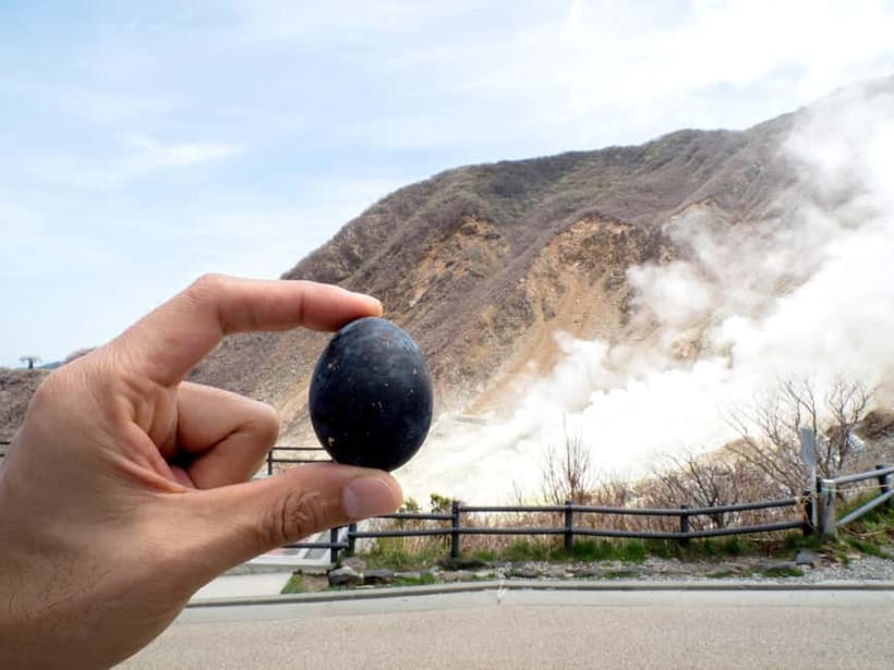 Tokyo: Mt. Fuji, Owakudani, Hakone Shrine, & Open-Air Museum - Key points to know before booking
