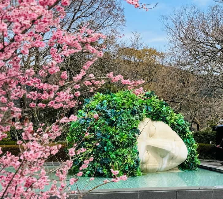 Tokyo: Mt. Fuji, Owakudani, Hakone Shrine, & Open-Air Museum - Why Hakone works as a day trip from Tokyo