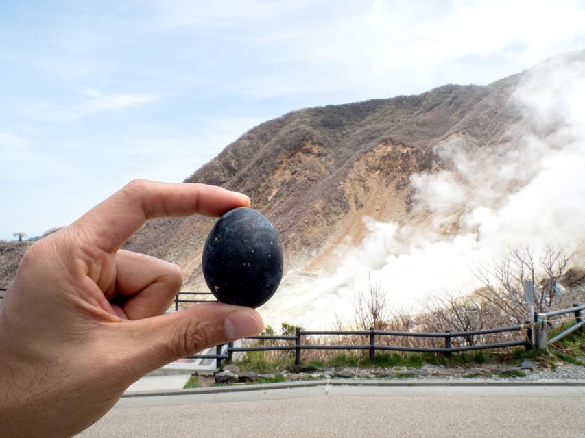 Tokyo: Mt. Fuji, Owakudani, Hakone Shrine, & Open-Air Museum - The value of transportation and a guide