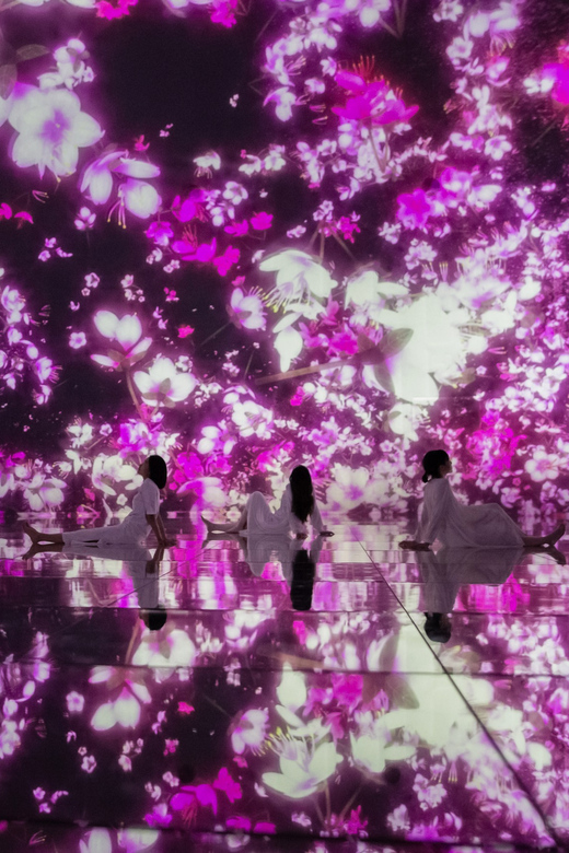 Tokyo: teamLab Planets TOKYO Digital Art Museum Entry Ticket - Who should book, and who should think twice