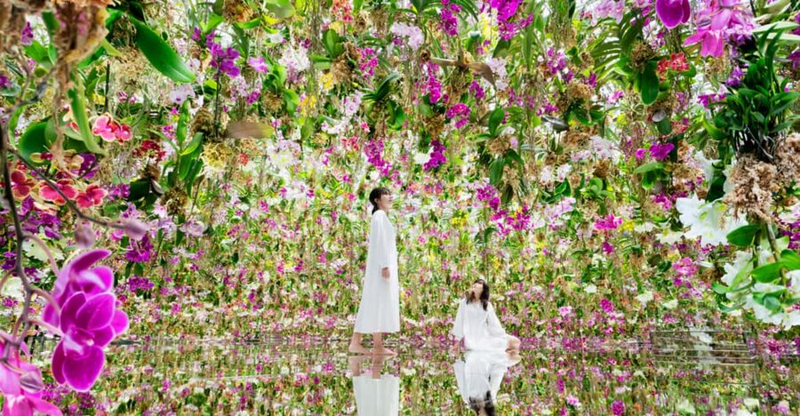 Tokyo: teamLab Planets TOKYO Digital Art Museum Entry Ticket - The Water Gallery, where the floor becomes part of the art