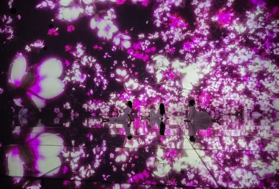 Tokyo: teamLab Planets TOKYO Digital Art Museum Entry Ticket - The flower rooms and the pleasure of slowing down