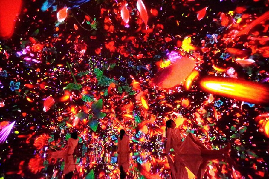 Tokyo: teamLab Planets TOKYO Digital Art Museum Entry Ticket - Price, crowds, and overall value at $25