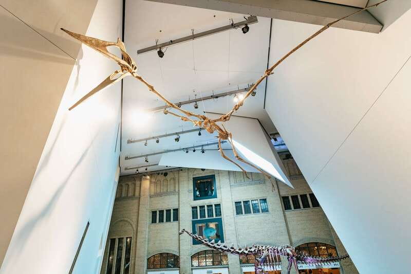 Toronto: Royal Ontario Museum Admission Ticket - The Ming tomb and the museum’s Asian collections