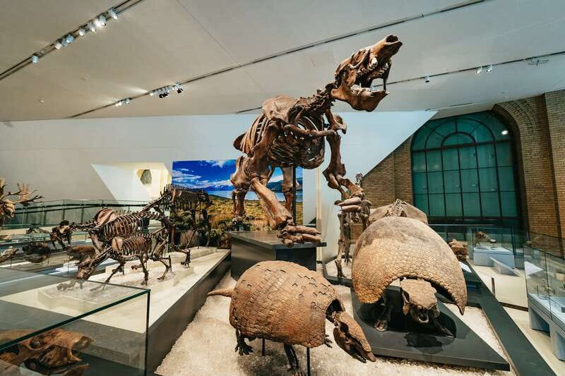 Toronto: Royal Ontario Museum Admission Ticket - First Peoples galleries and the Canadian story