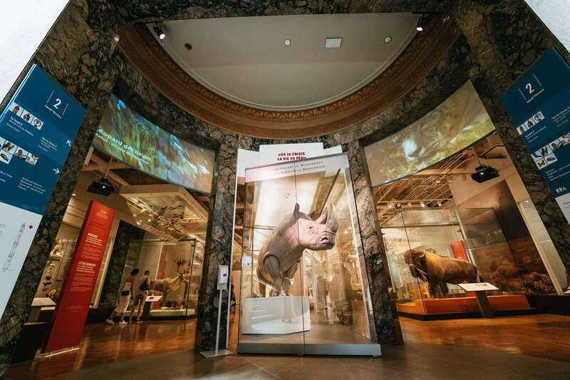 Toronto: Royal Ontario Museum Admission Ticket - How much time should you allow?