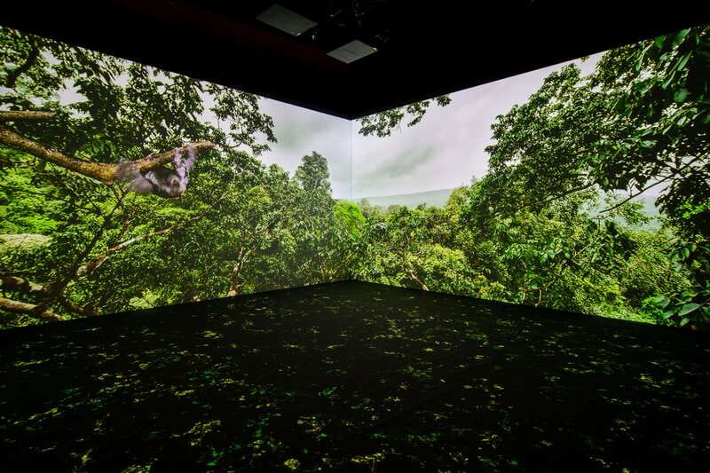 Toronto: Royal Ontario Museum Special Exhibits Voucher - Who will get the most from this $25 voucher