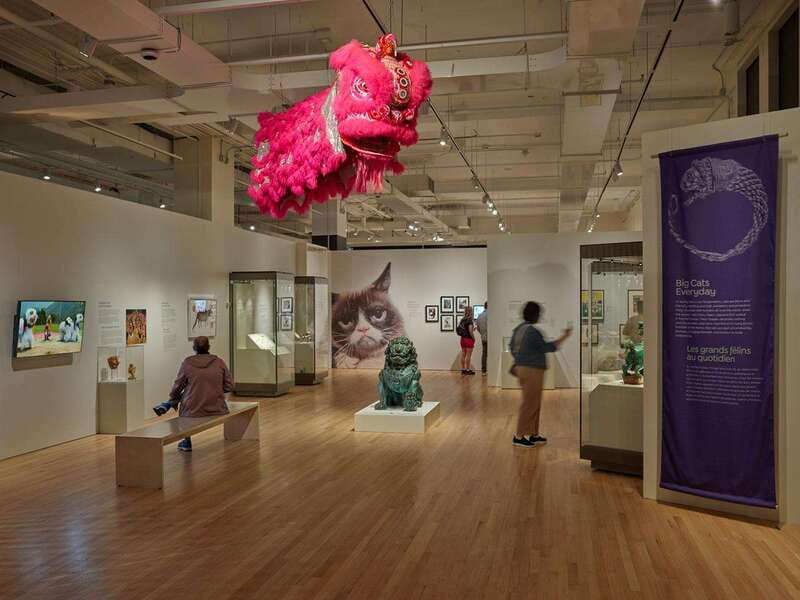 Toronto: Royal Ontario Museum Special Exhibits Voucher - Free tours, kiosks, and exploring at your own speed