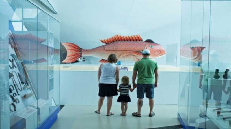 Toronto: Royal Ontario Museum Special Exhibits Voucher - Planning around crowds and comfort