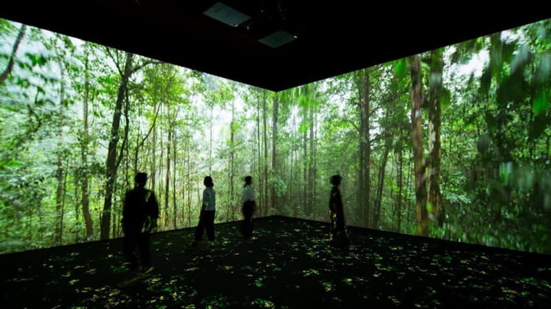Toronto: Royal Ontario Museum Special Exhibits Voucher - Entering through the Weston Queen’s Park Entrance