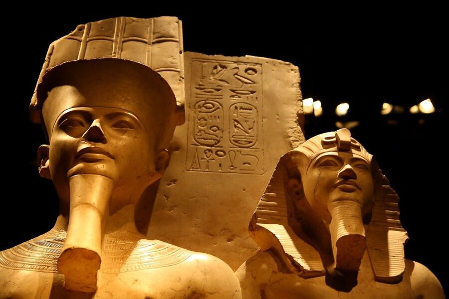 Turin: Egyptian Museum Skip-the-Line Private Guided Tour - What the guide adds to the collection