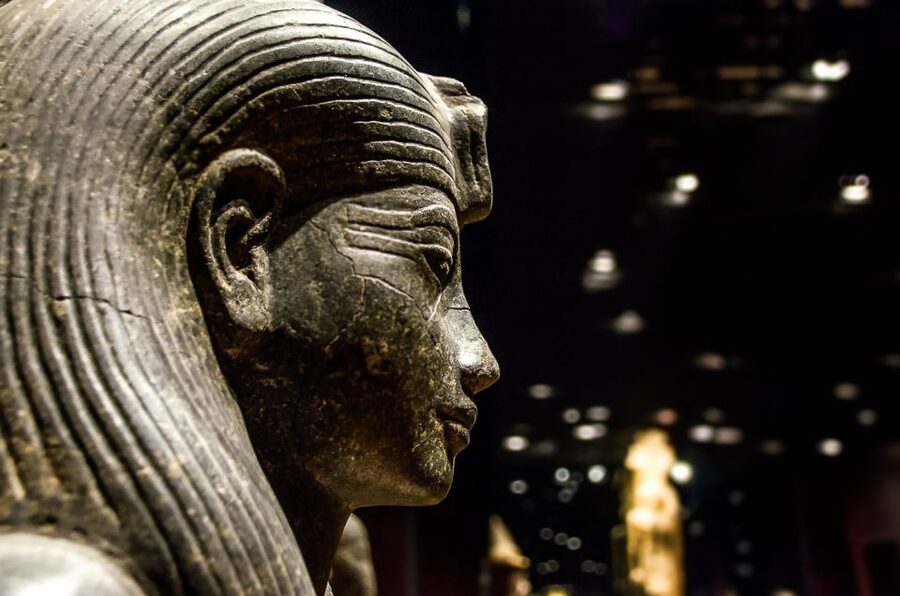 Turin: Egyptian Museum Skip-the-Line Private Guided Tour - Meeting your guide in Piazza Carignano