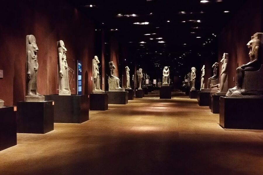 Turin: Egyptian Museum Small Group Skip-the-Line Guided Tour - The opening galleries and the Egyptian timeline