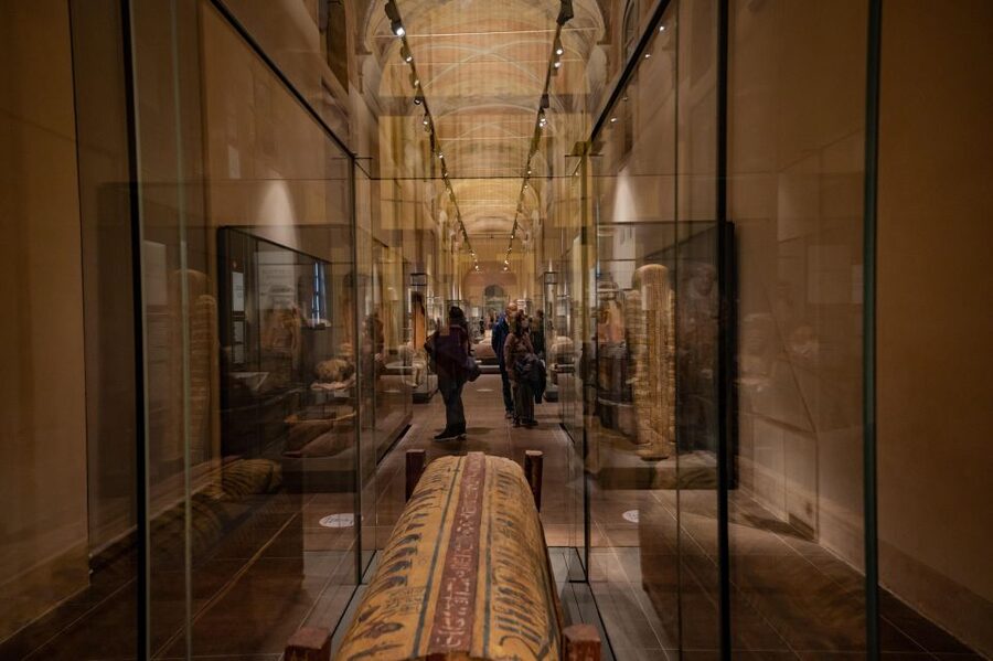 Turin: Egyptian Museum Small Group Skip-the-Line Guided Tour - The Drovetti papyri collection