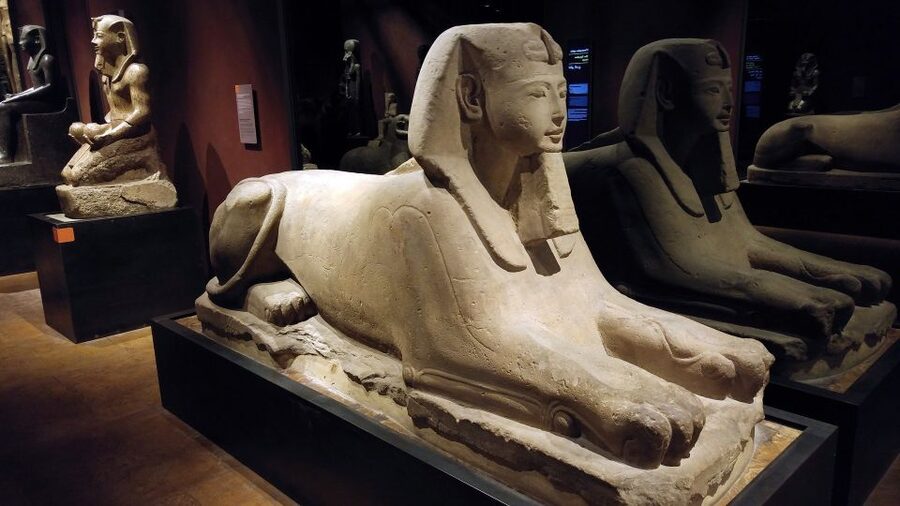 Turin: Guided Egyptian Museum Tour - The first galleries: a chronological way into ancient Egypt